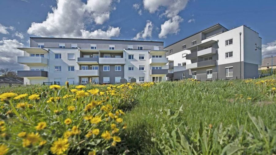 Modernes Wohngebäude mit Balkonen und grünem Garten im Vordergrund. Perfekt für Wohnung kaufen in Wien.