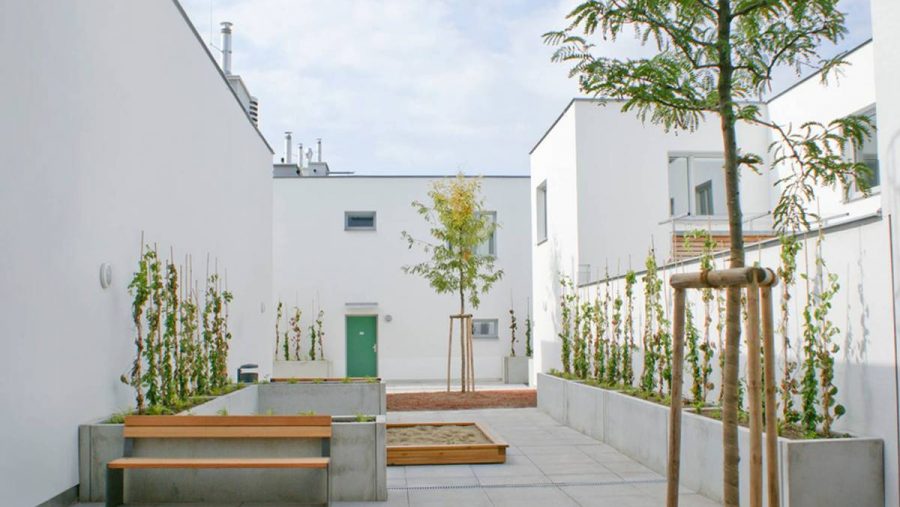 Heller Innenhof mit Bänken und Pflanzen, ideal für die Ruhe in einer modernen Immobilie in Wien.