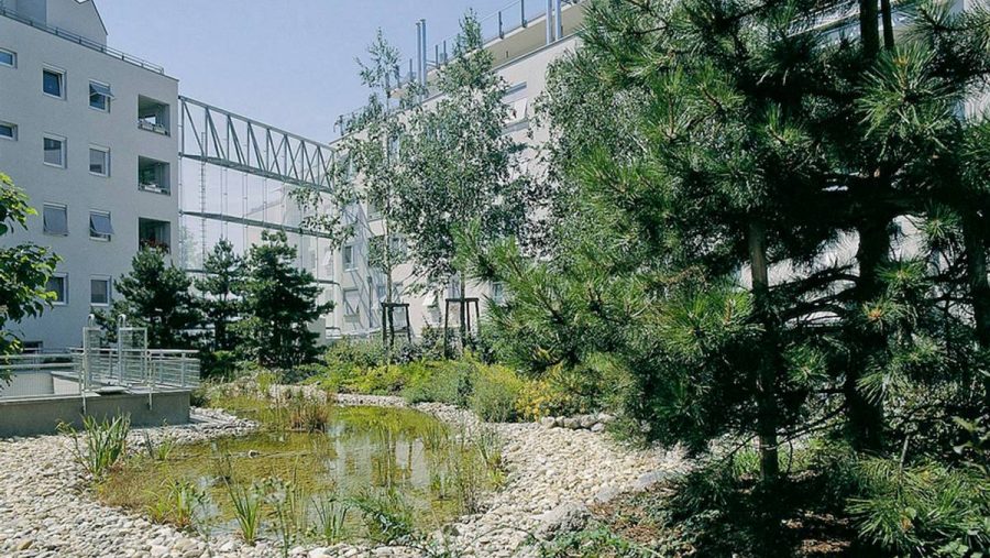 Grüner Innenhof eines modernen Wohngebäudes mit Wasserfläche und Pflanzen in Wien. Ideal für eine Wohnung kaufen!
