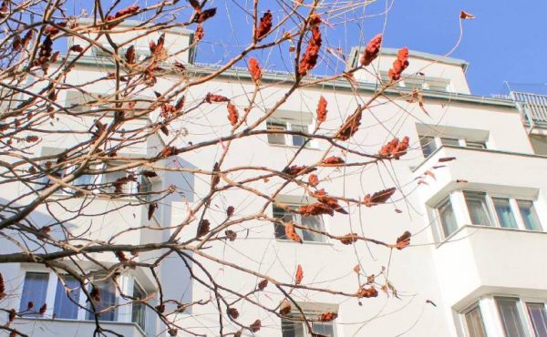 Mehrstöckiges Wohnhaus im Sonnenschein, umgeben von einem kahlen Baum mit roten Beeren vor blauem Himmel.