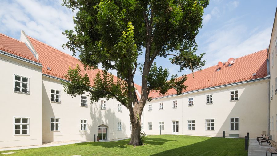 Innenhof mit grünem Rasen und großem Baum, umgeben von Gebäuden mit roten Dächern unter blauem Himmel.