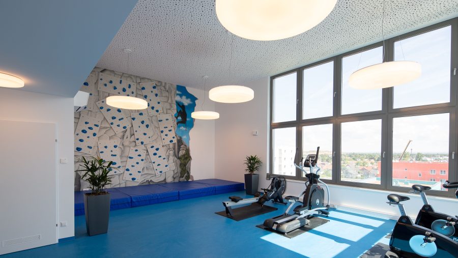 Moderner Fitnessraum mit Kletterwand, Trainingsgeräten und großen Fenstern.