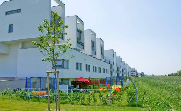 Moderne Reihenhäuser mit Garten und Spielfläche, ideal für Familien, ruhige Lage in der Nähe von Wien.