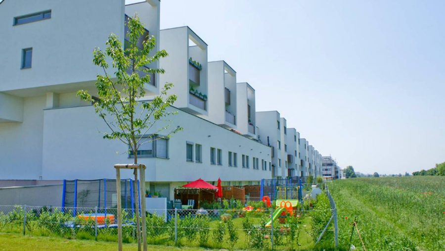 Moderne Reihenhäuser mit Garten und Spielfläche, ideal für Familien, ruhige Lage in der Nähe von Wien.