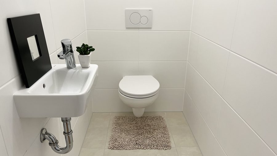 Kleines modernes Badezimmer mit WC, Waschtisch, kleinem Teppich und Pflanze auf weiß gefliesten Wänden.