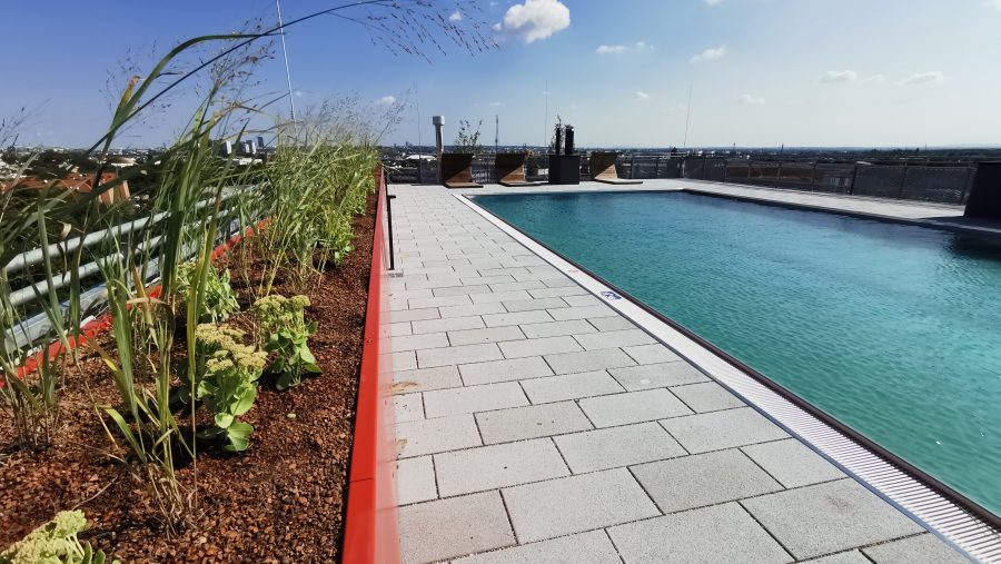 Dachterrasse mit Pool und Pflanzen, sonniger Himmel im Hintergrund.