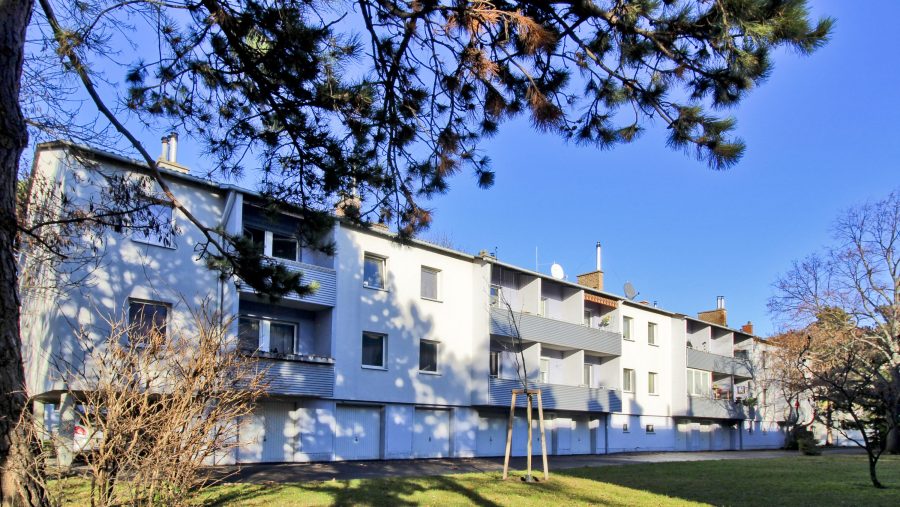Mehrfamilienhaus mit blauem Himmel im Hintergrund, umgeben von Bäumen und Gräsern.