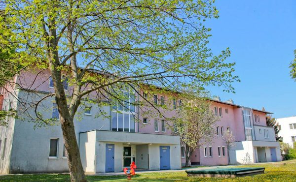 Wohngebäude mit Baum im Vordergrund an einem sonnigen Tag.