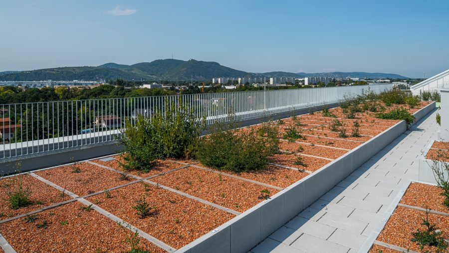 Gründach mit Kies und Pflanzen, umgeben von Landschaft und Gebäuden im Hintergrund bei klarem Himmel.
