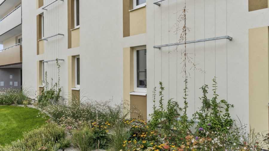 Moderne Gebäudefassade mit üppigem Garten und Kletterpflanzen.