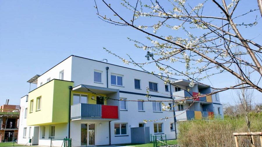 Moderne Mehrfamilienhaus mit Balkonen und blühenden Bäumen im Vordergrund bei sonnigem Wetter.