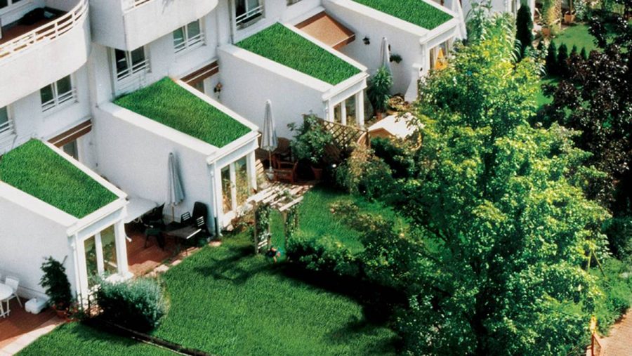 Grünes Wohngebiet mit modernen Häusern und Gärten, ideal für Immobilienkäufer in Wien.